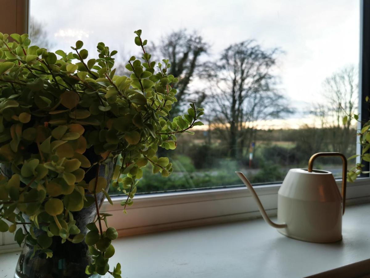 Redbrook Farm Bnb - Gateway To The New Forest Фордінґбрідж Екстер'єр фото