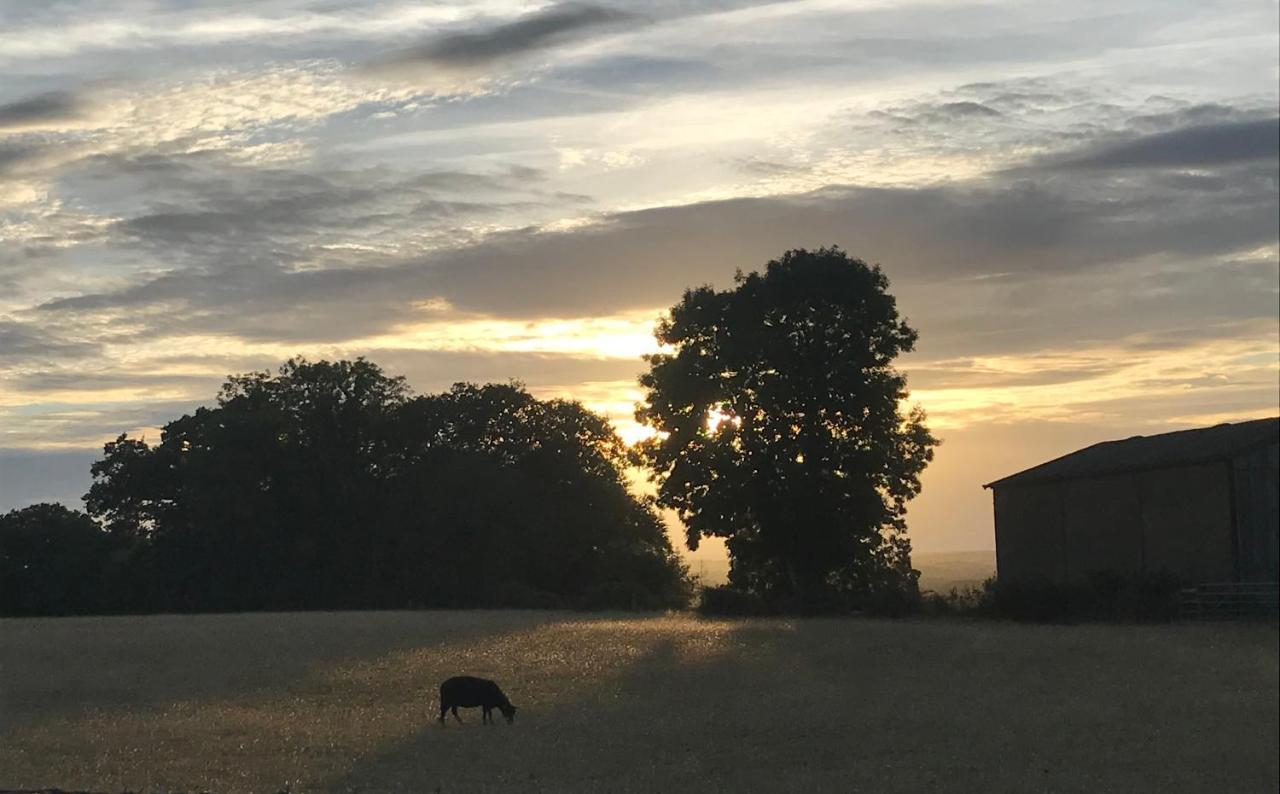 Redbrook Farm Bnb - Gateway To The New Forest Фордінґбрідж Екстер'єр фото
