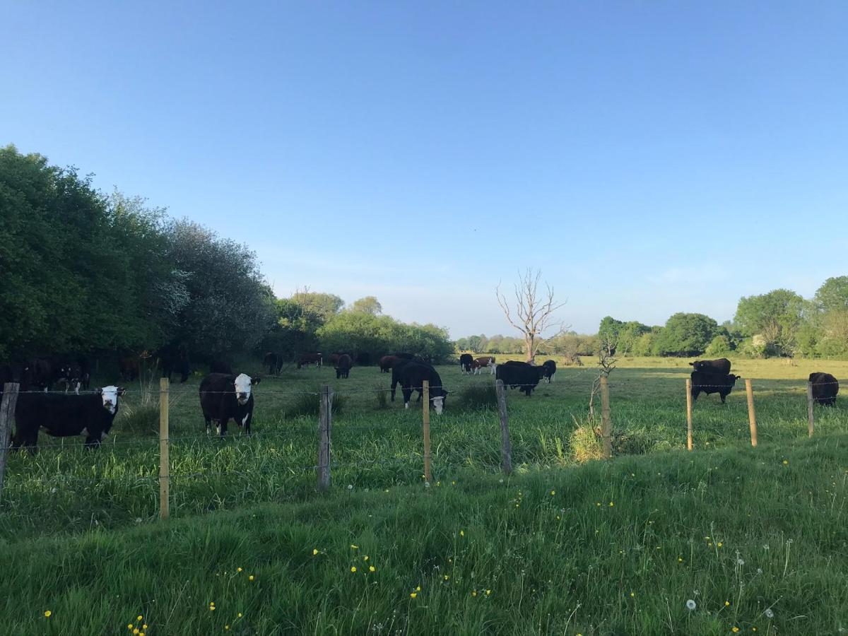 Redbrook Farm Bnb - Gateway To The New Forest Фордінґбрідж Екстер'єр фото