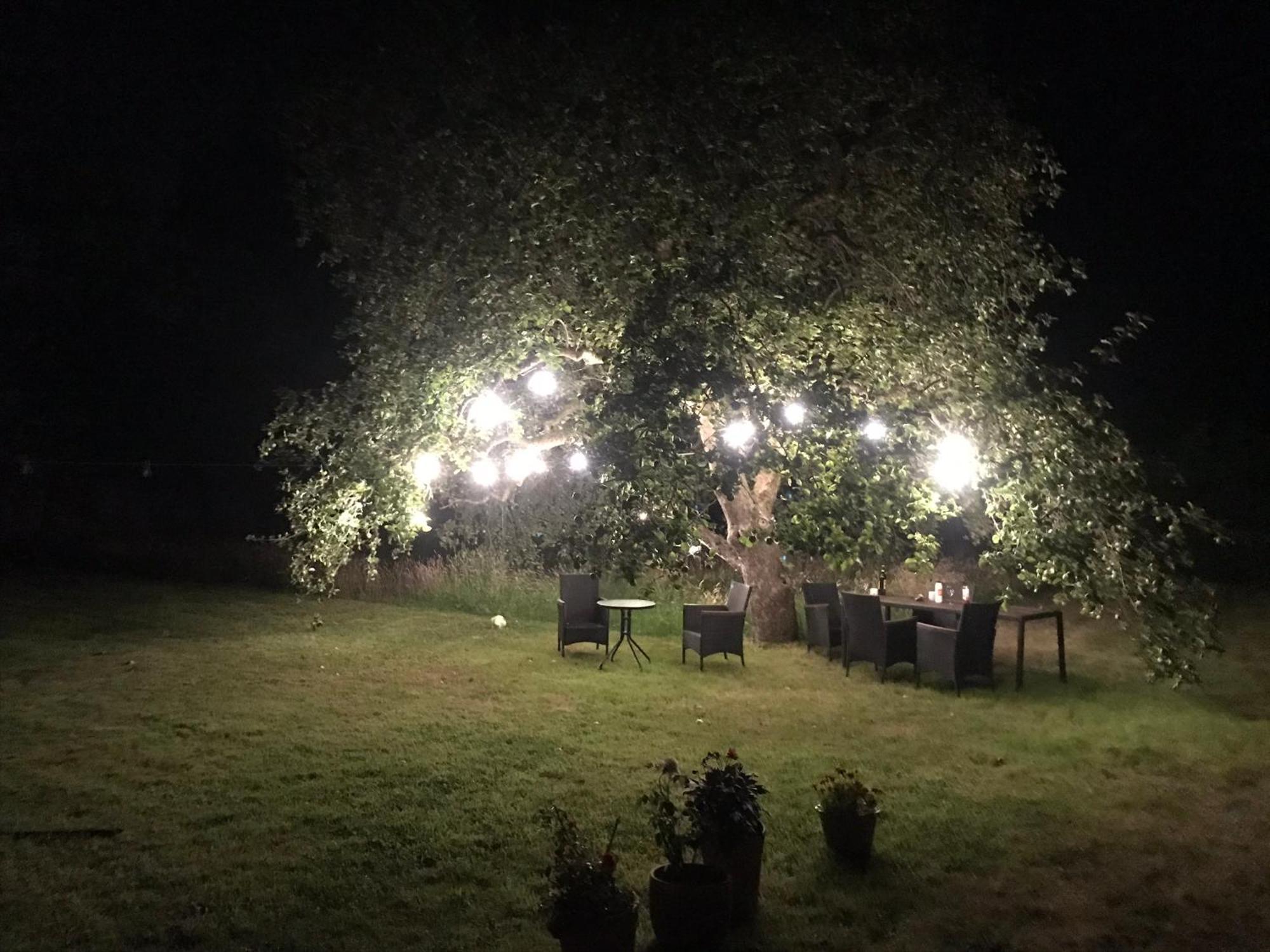 Redbrook Farm Bnb - Gateway To The New Forest Фордінґбрідж Екстер'єр фото