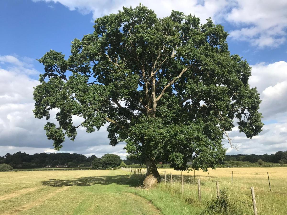 Redbrook Farm Bnb - Gateway To The New Forest Фордінґбрідж Екстер'єр фото