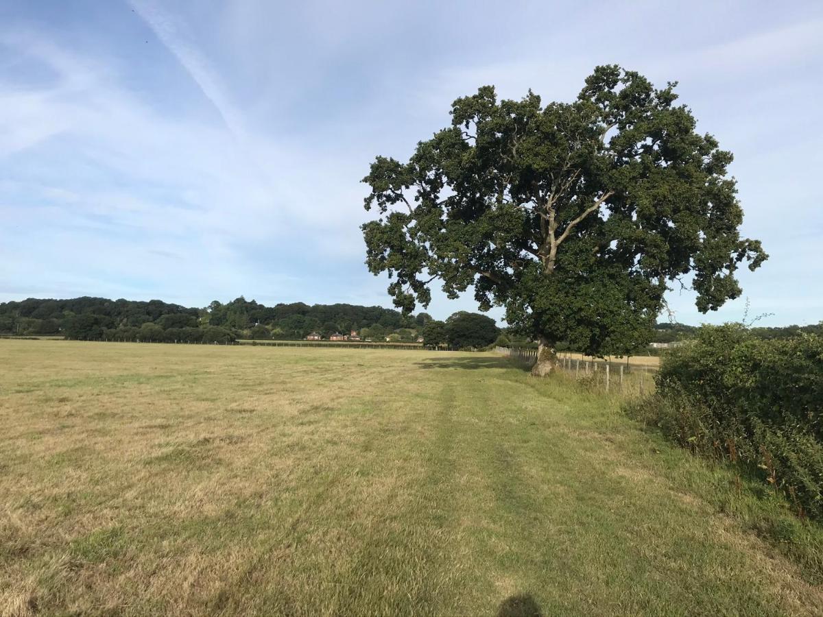 Redbrook Farm Bnb - Gateway To The New Forest Фордінґбрідж Екстер'єр фото