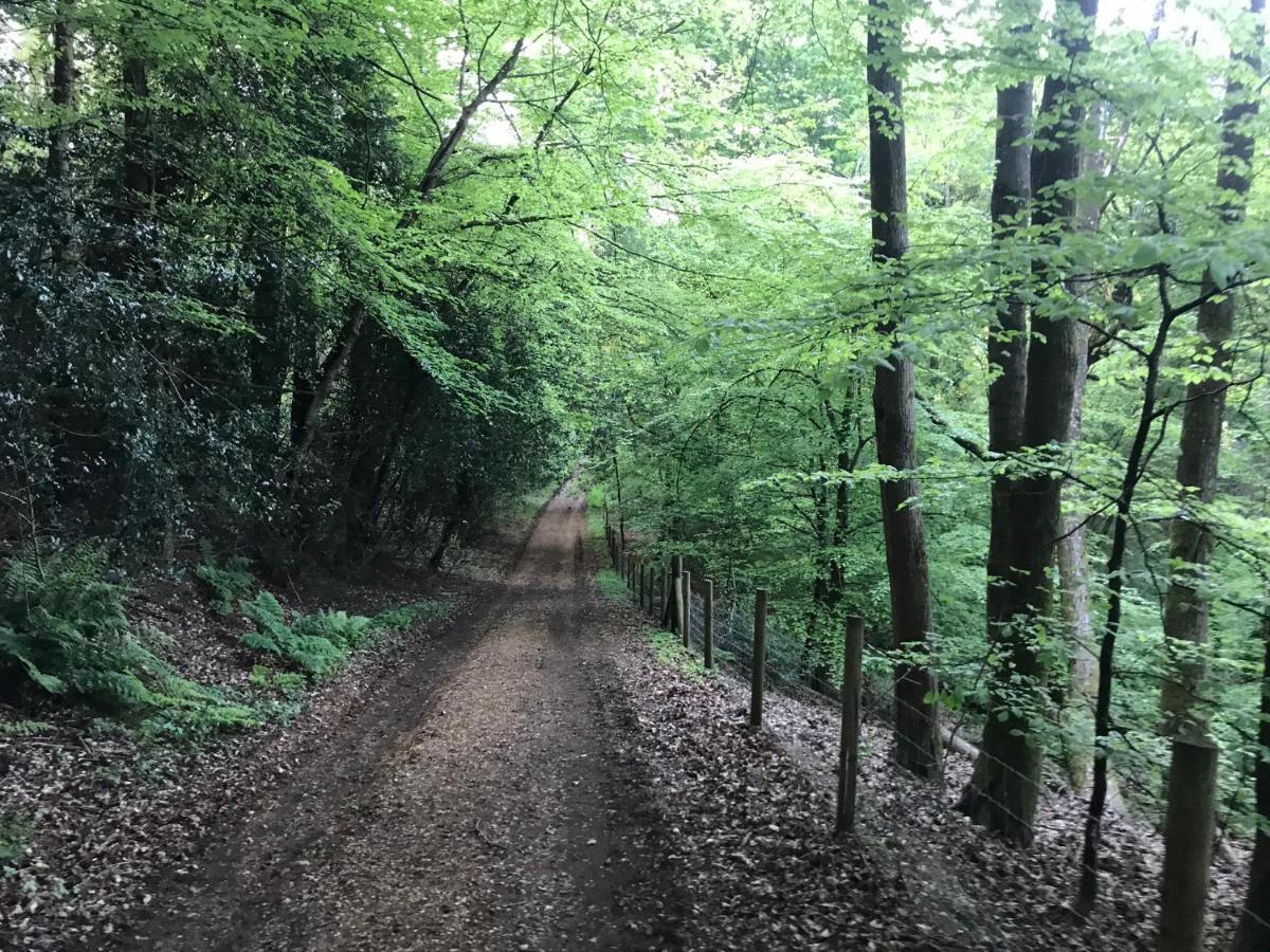 Redbrook Farm Bnb - Gateway To The New Forest Фордінґбрідж Екстер'єр фото