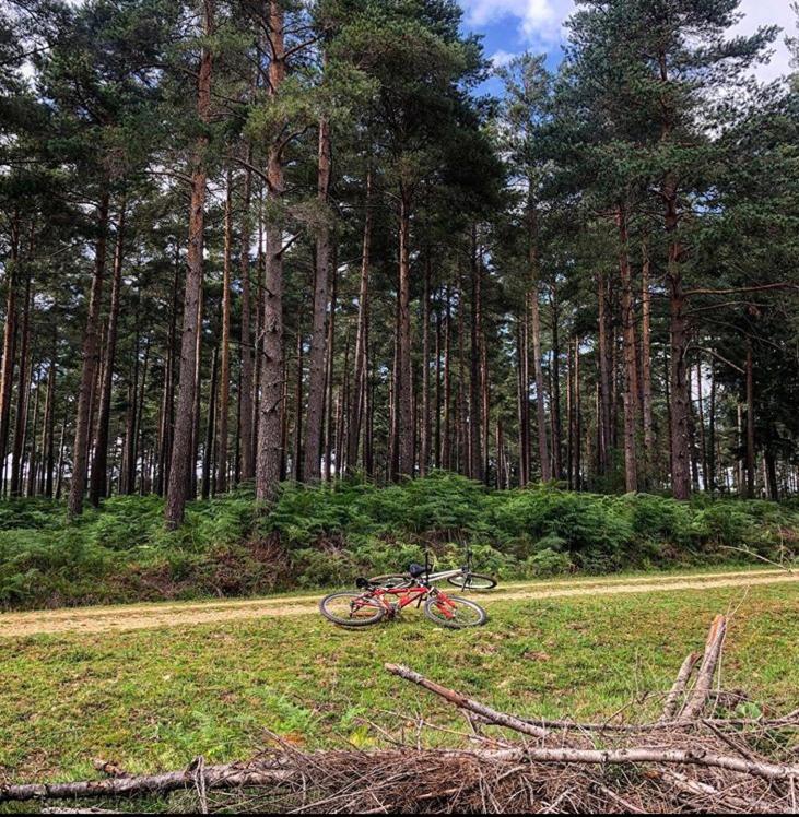 Redbrook Farm Bnb - Gateway To The New Forest Фордінґбрідж Екстер'єр фото