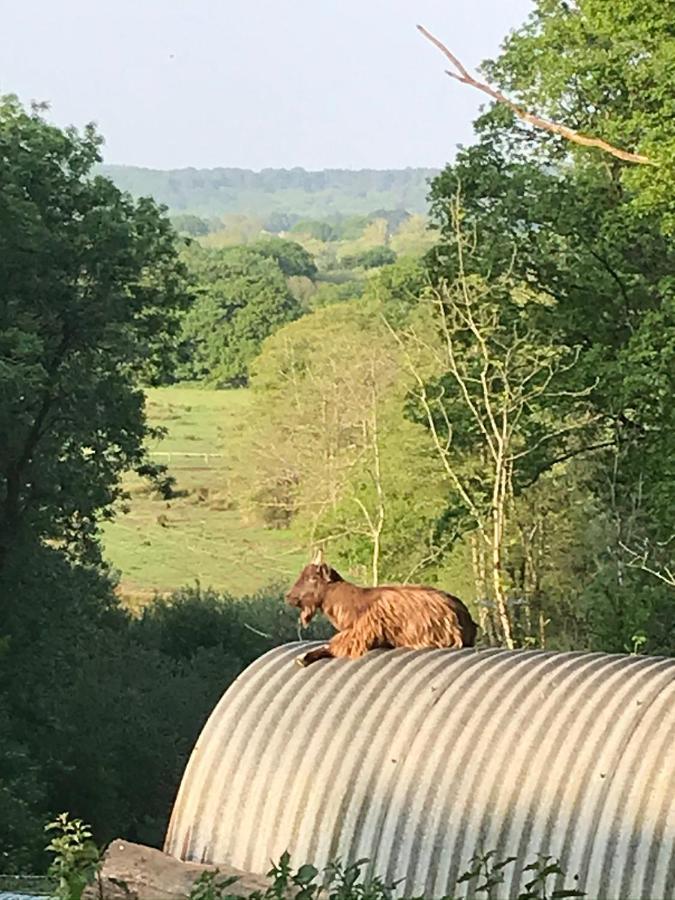 Redbrook Farm Bnb - Gateway To The New Forest Фордінґбрідж Екстер'єр фото