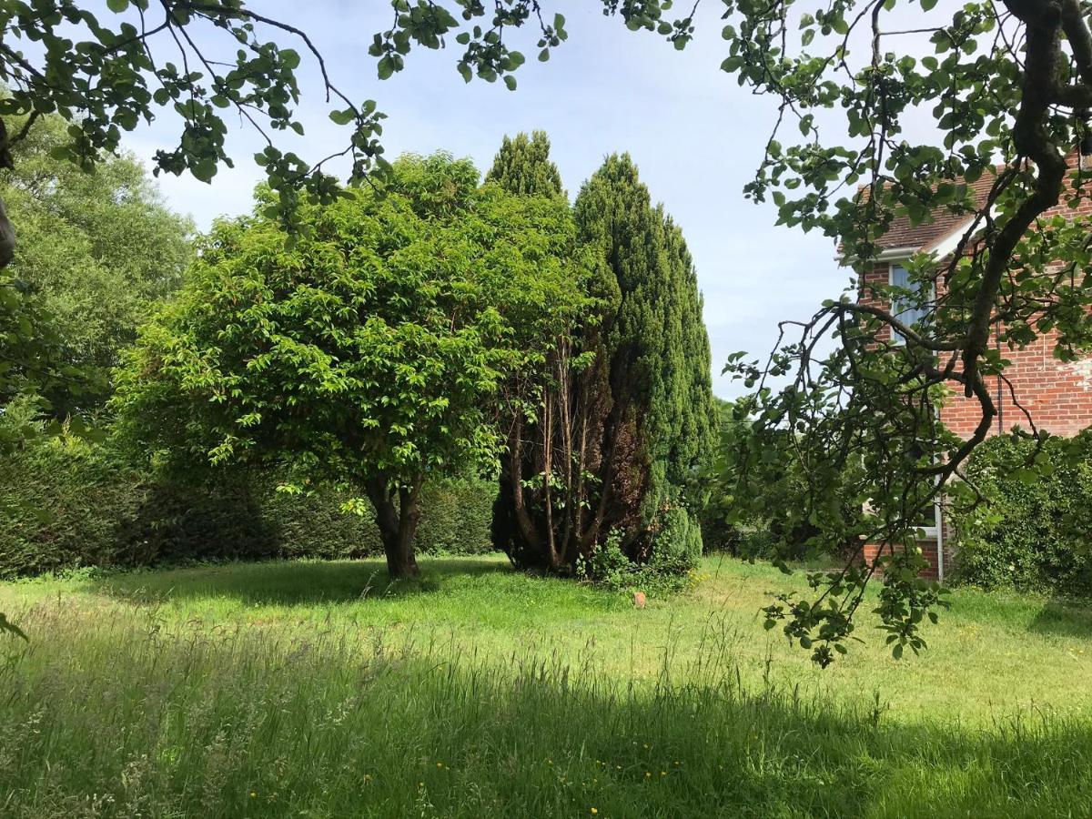 Redbrook Farm Bnb - Gateway To The New Forest Фордінґбрідж Екстер'єр фото
